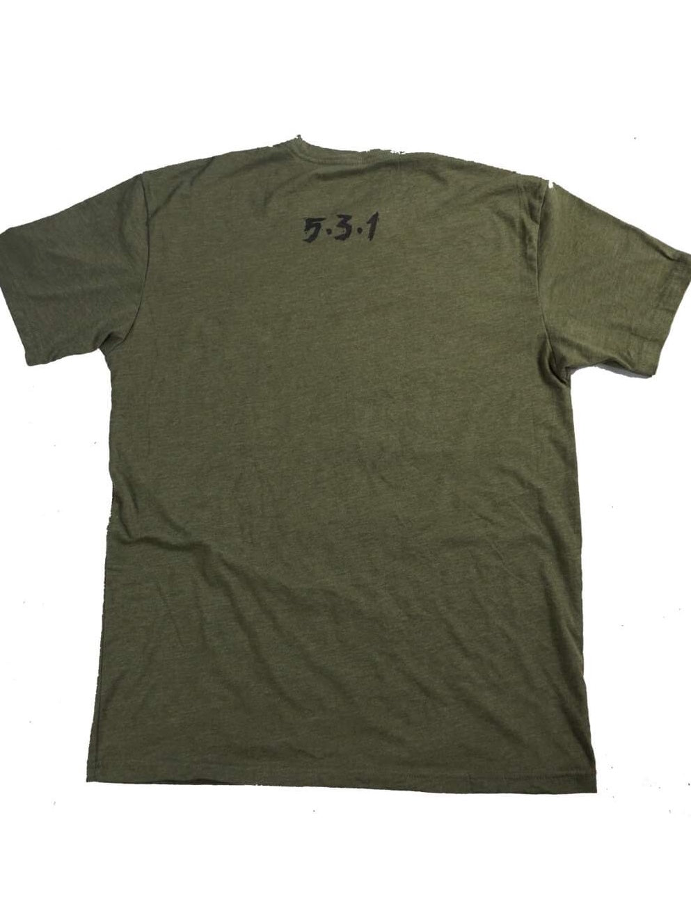 You Are Being Lied To Shirt - Cargo Green