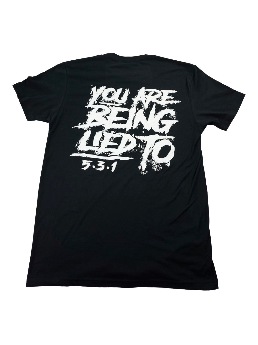 Lied To - 2 Print